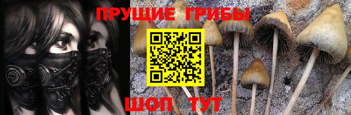 Псилоцибиновые грибы прущие грибы Лабинск